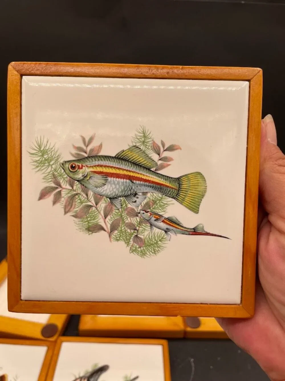 Set Of 6 Ceramic Tiles Wood Frame Tropical Fish Decals Coasters Trivets Aquatic